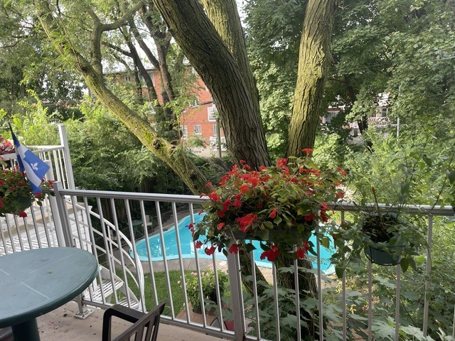 Appartement Lumineux Dans Rosemont | 3286567