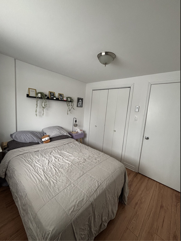 4 1/2 Rosemont Masson / Parc Molson | 3286569