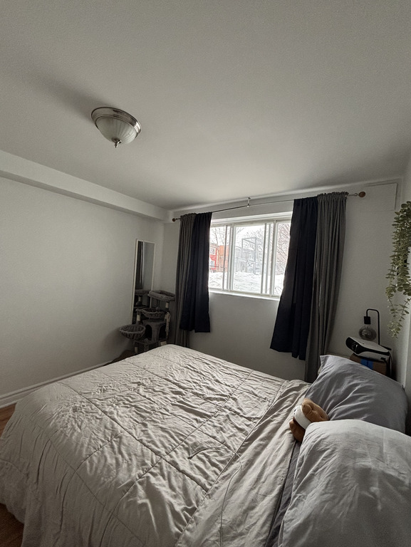 4 1/2 Rosemont Masson / Parc Molson | 3286569