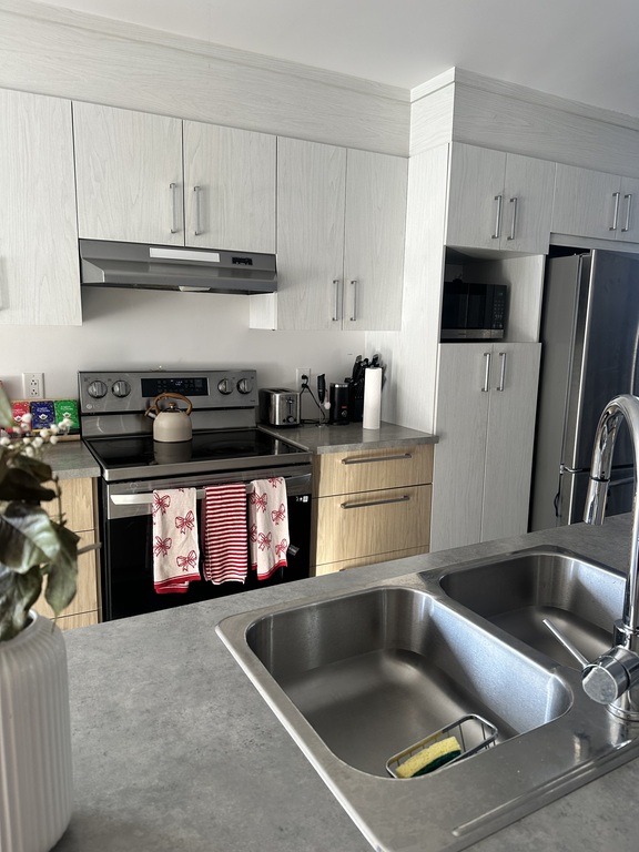 MAGNIFIQUE APPARTEMENT STYLE CONDO | 3286602