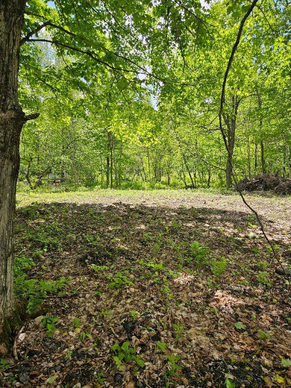 Terrain prêt a bâtir intimité assurée | 3296755