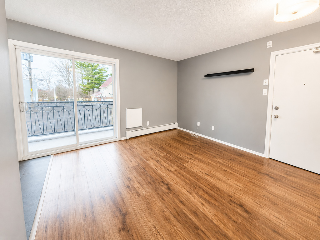 Appartement 1 Chambre à Louer | 3287131