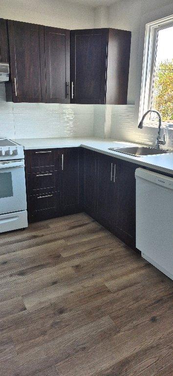 6 1/2 rue notre dame Laval LIBRE | 3288177