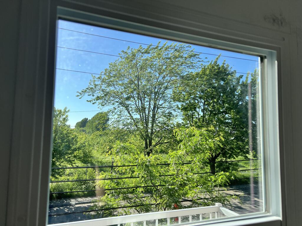 Magnifique 4 1/2 Lumineux Et Tranquille | 3295130