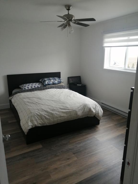 Logement 5 1/2 à louer St-Hyacinthe | 3288101