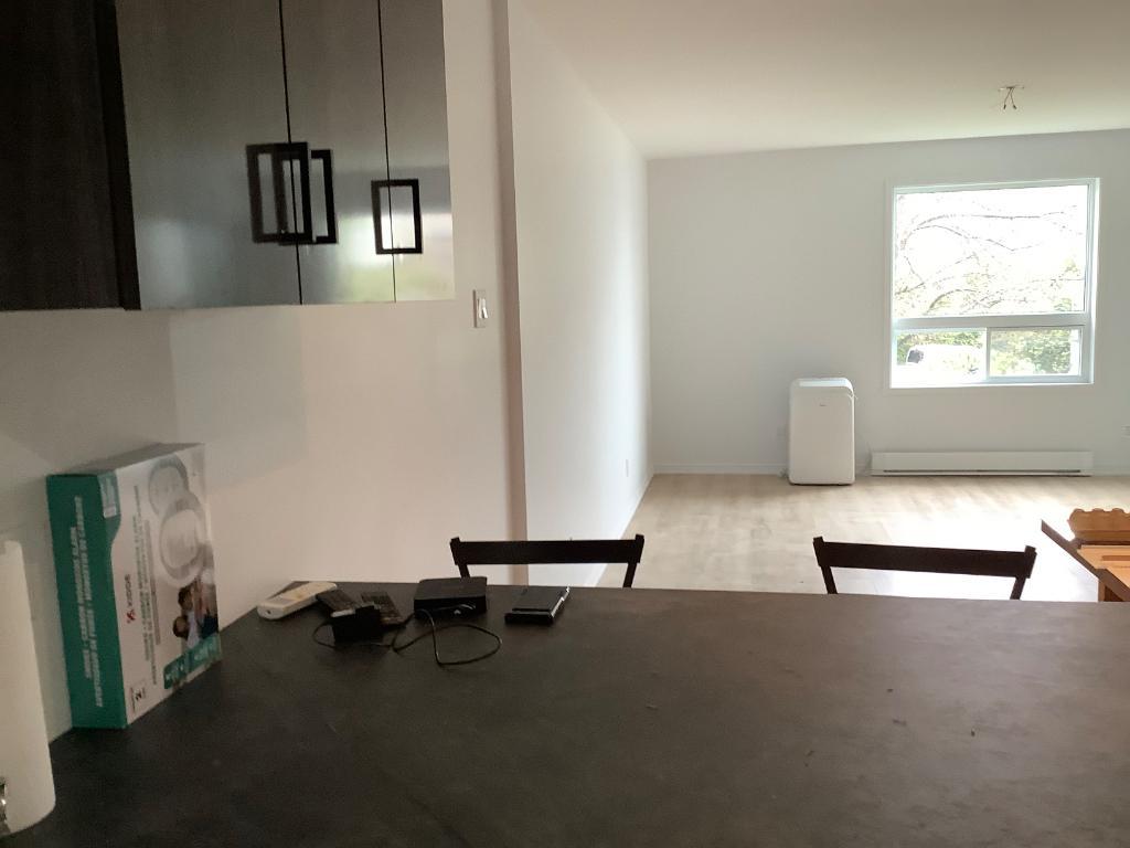 Condo 4 1/2 bord du fleuve rénove à louer ou vendre | 3288106