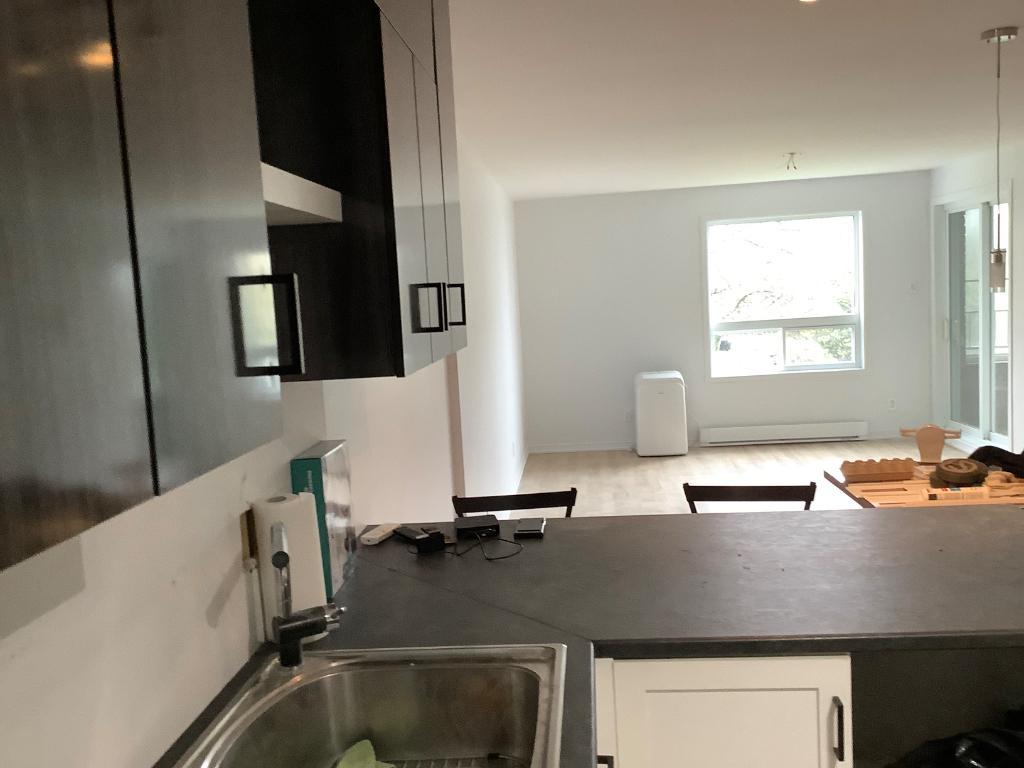 Condo 4 1/2 bord du fleuve rénove à louer ou vendre | 3288106