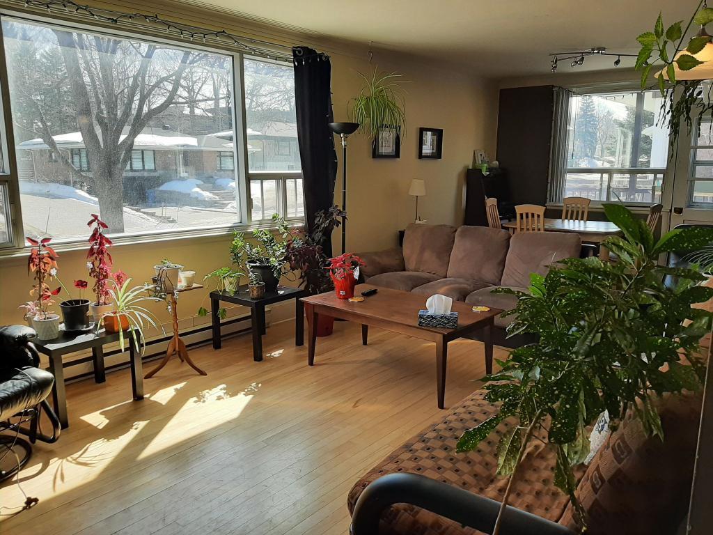 Grand 6 1/2 à louer proche de l'Université Laval - appartement / logement | 3288157