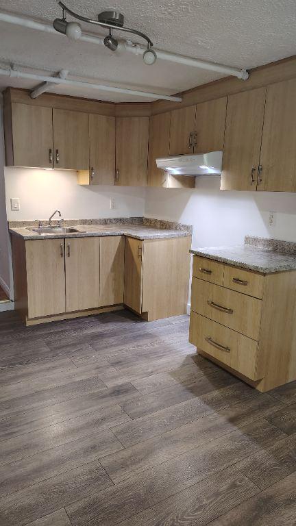 Beau 3 1/2 à louer | 3288747