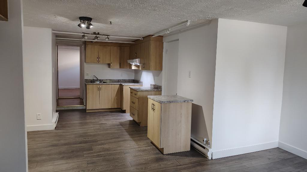 Beau 3 1/2 à louer | 3288747