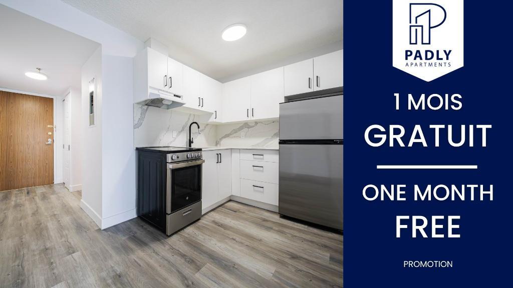 1 MOIS GRATUIT - Centre-ville Mtl Studio & 3 1/2 Gym, piscine… Appartement / logement à louer Montreal Ville-Marie | 3288766