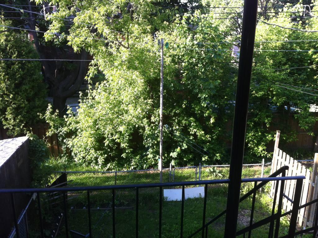 **3 ½ DERNIER ÉTAGE – ROSEMONT – À 5 MIN DU MÉTRO JOLIETTE – ANIMAUX ACCEPTÉS** | 3288769