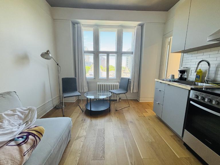 Loft entièrement meublé à louer Montcalm / Saint-Sacrement février 2027 | 3305037