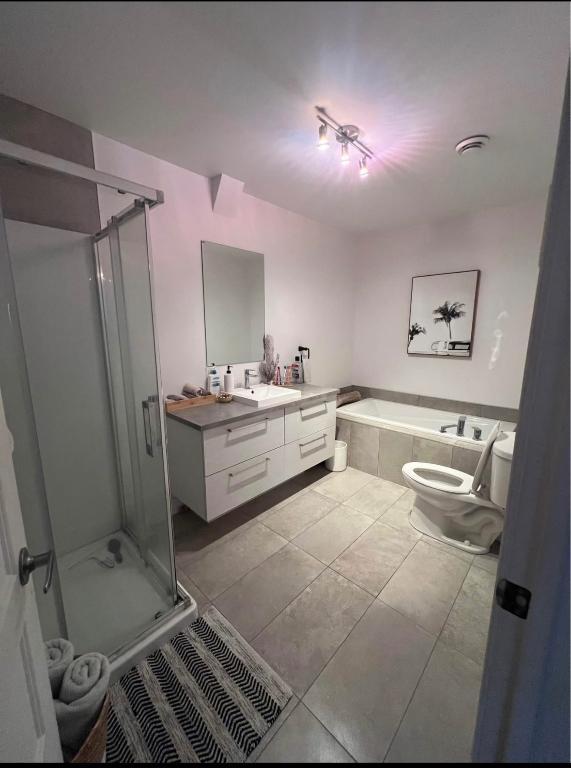 MAGNIFIQUE APPARTEMENT 2 CHAMBRES | 3288818