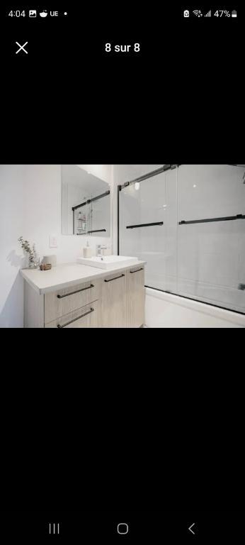 Appartement Vieux-Terrebonne 2 chambres 2 salles de bain (4½+) | 3288901