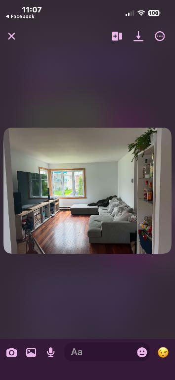 Beau grand 7 1/2 | 3288932