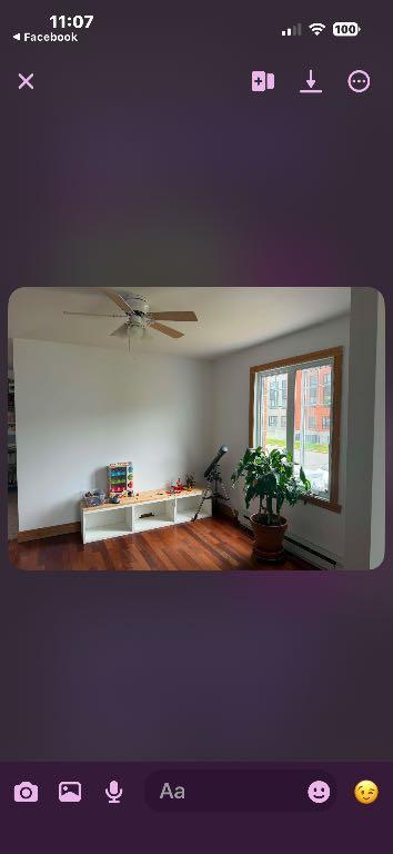 Beau grand 7 1/2 | 3288932
