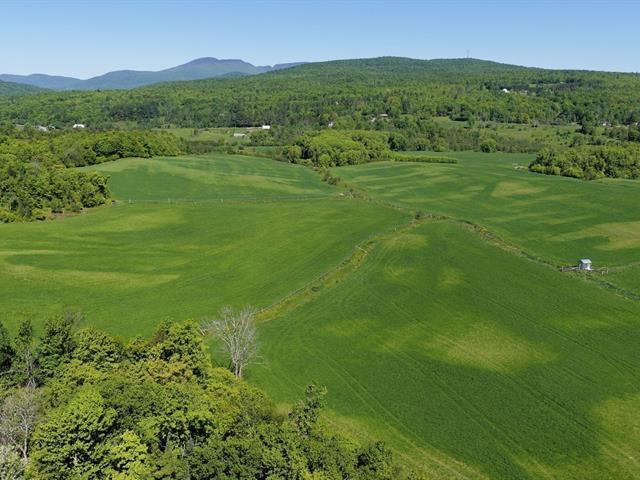 Potton (Estrie) : Terre agricole et à bois de 247,11 acres | 3297050