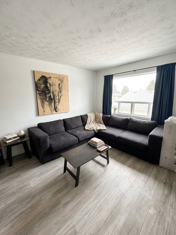41/2 Pas Cher ! | 3293966