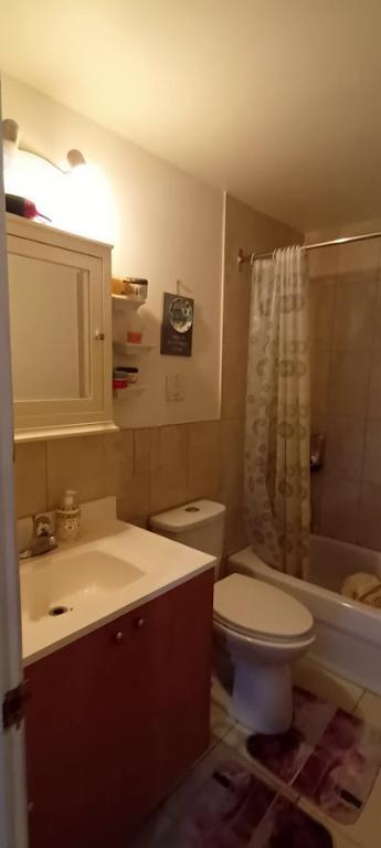 ST-LÉONARD GRAND 3 1/2 RÉNOVÉ LIBRE 1ER JUILLET (secteur Jean-Talon) | 3289711