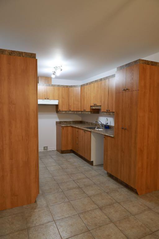 Grand 4 1/2 À SAINT-ÉTIENNE DE LAUZON (LÉVIS) | 3289715