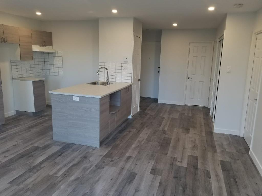 **Promo-1er juillet Nouveau 4 1/2 à louer Greenfield Park Longueuil Rive-Sud | 3289725