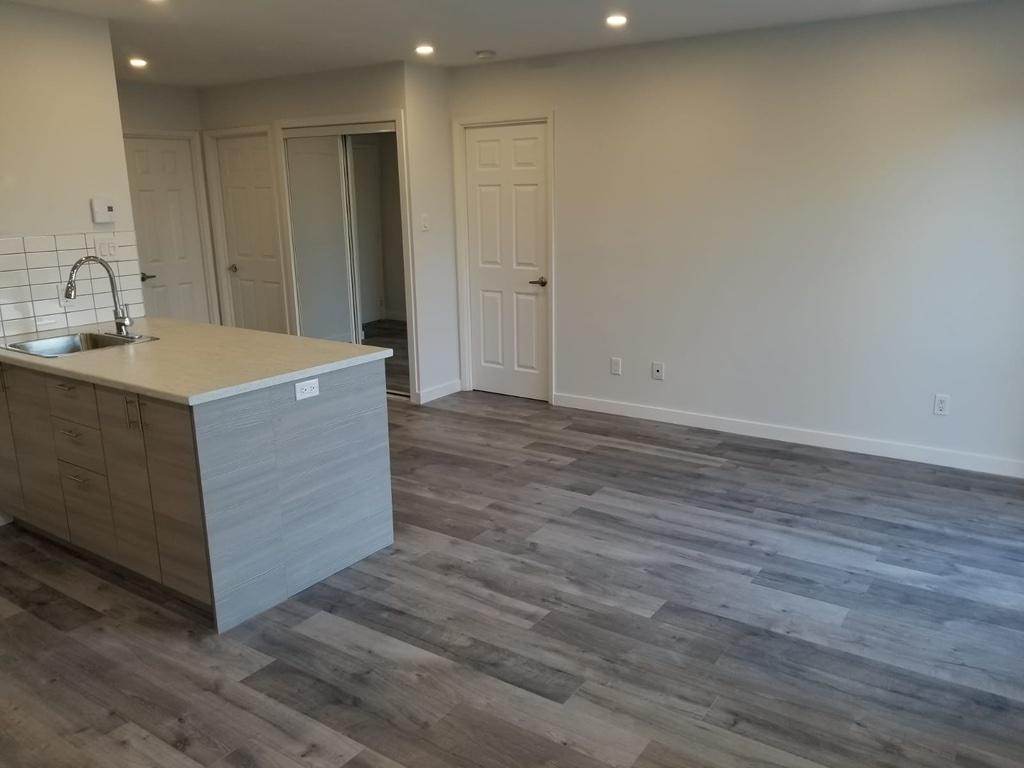 **Promo-1er juillet Nouveau 4 1/2 à louer Greenfield Park Longueuil Rive-Sud | 3289725