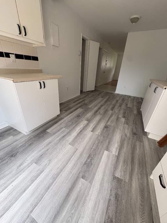 Beau et grand 4 1/2 Longueuil libre | 3289731