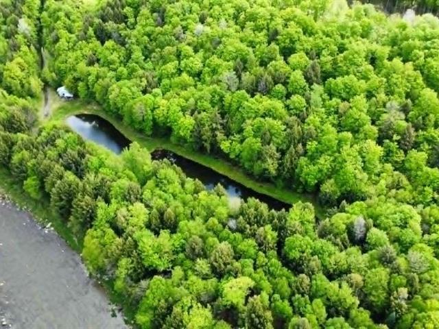 St-Christophe-d'Arthabaska (Centre-du-Québec) : Terre à bois | 3296878