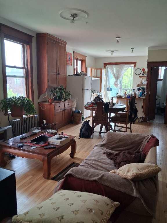 Magnifique grand 4 1/2 situé Rosemont/Petite-Patrie (Montréal) | 3289870