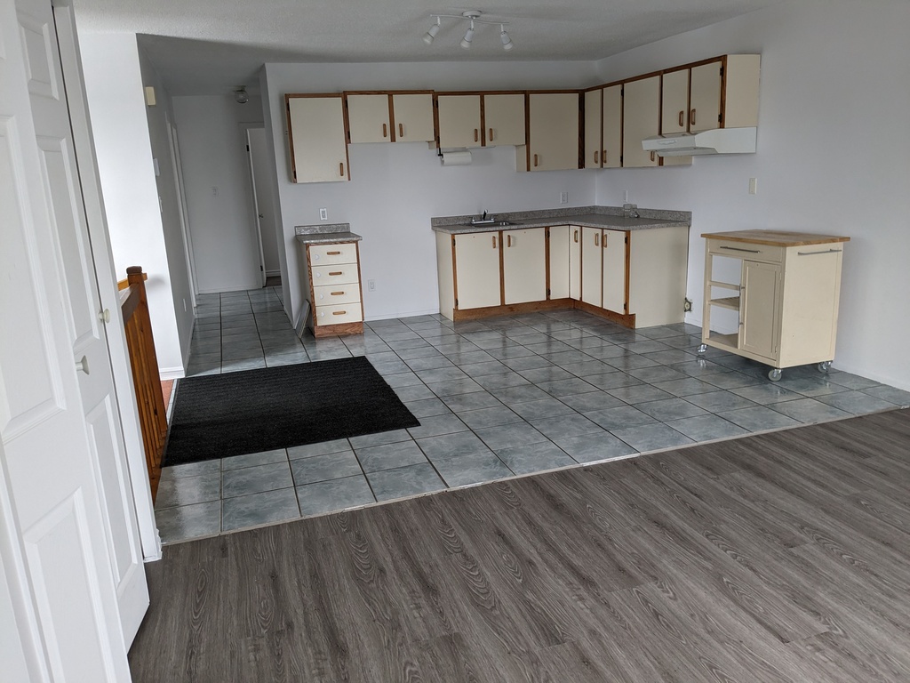 Superbe 51/2 Fraîchement Peinturé | 3268451
