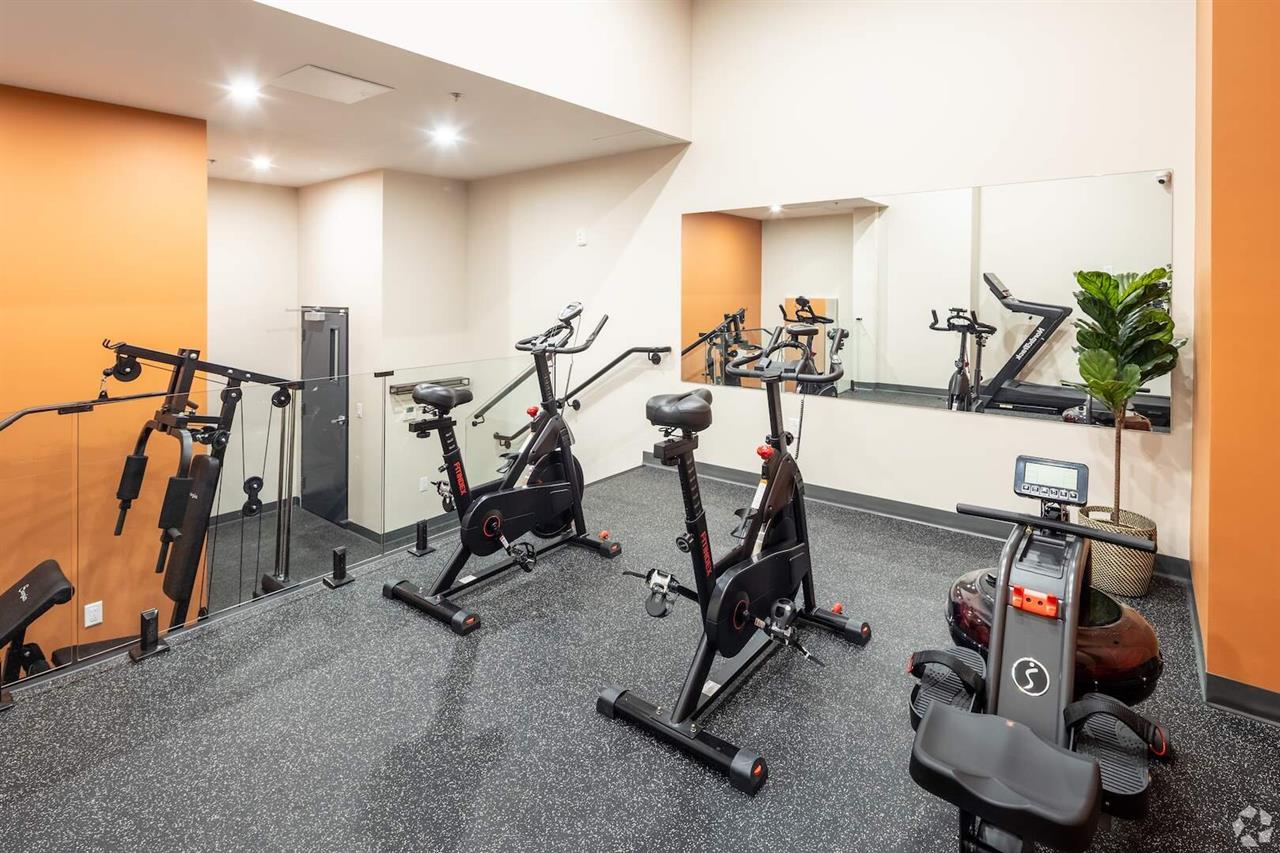 1 CH - 1 SDB - Montréal - $1,685 /mo | 3290386