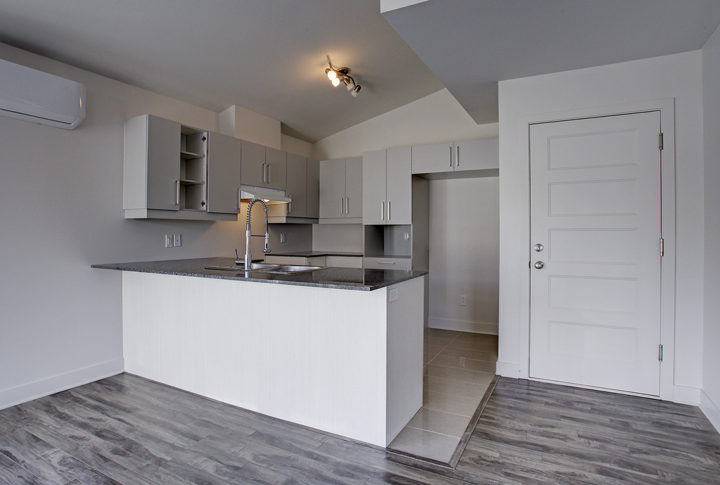 CONDO 4 1-2 NIVEAU TERRASSE + CABANON Et | 3290405