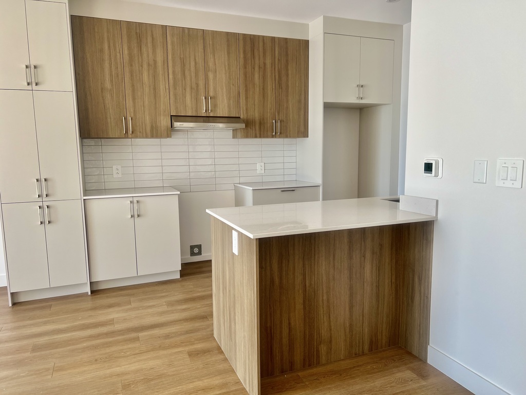 3 1/2 Immeuble Luxueux Avec Ascenseur | 3290488