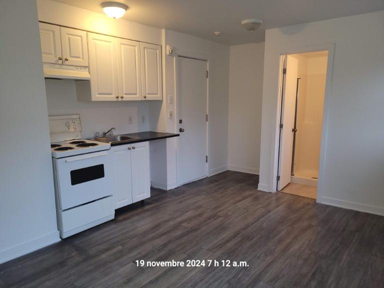 1 CH - 1 SDB - Montréal - $995 /mo | 3290499