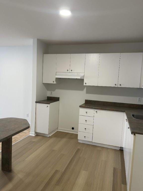 1 CH - 1 SDB - Saint-Charles-Borromée - $1,150 /mo | 3290507