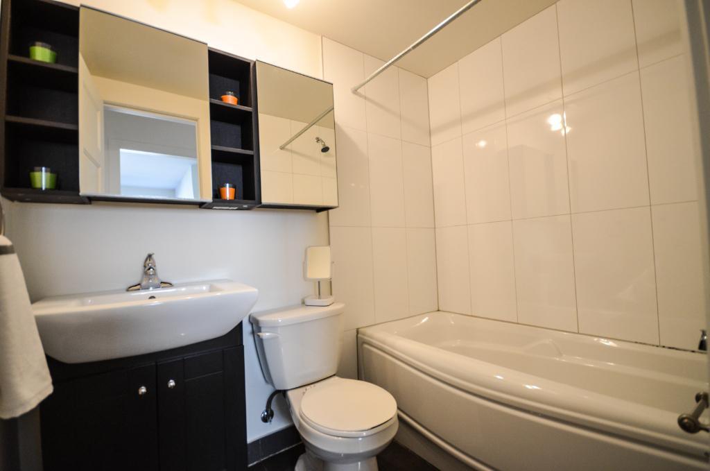 ANJOU – GRAND 3 ½ RÉNOVÉ – 1 010 $ / mois | 3290531