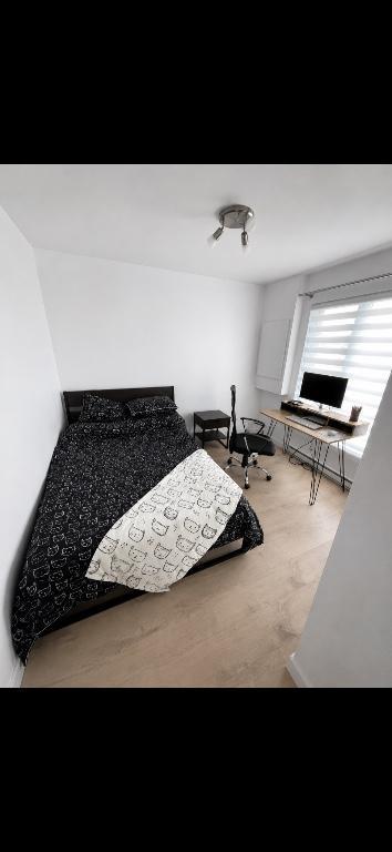 GRAND 41/2 À LOUER POUR LE 1 ER JUILLET 2026 NON MEUBLÉ - 1391 rue du Ciné-parc à Chicoutimi | 3290657