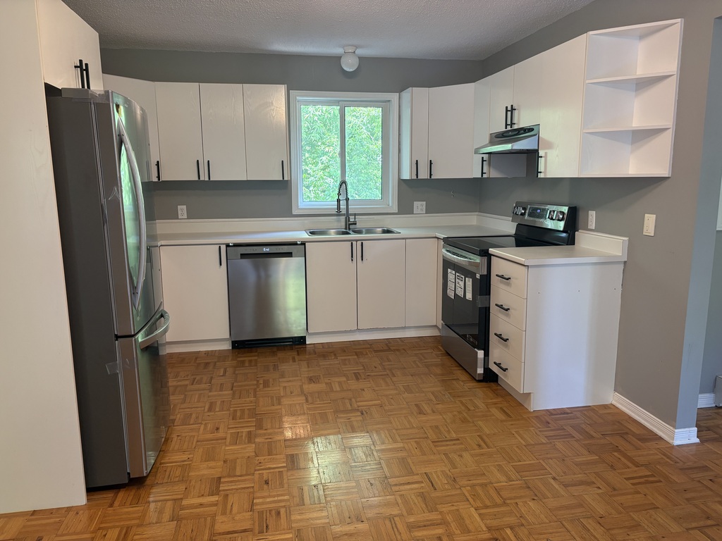Très Beau Grand 4 1/2 électros Neufs | 3273308