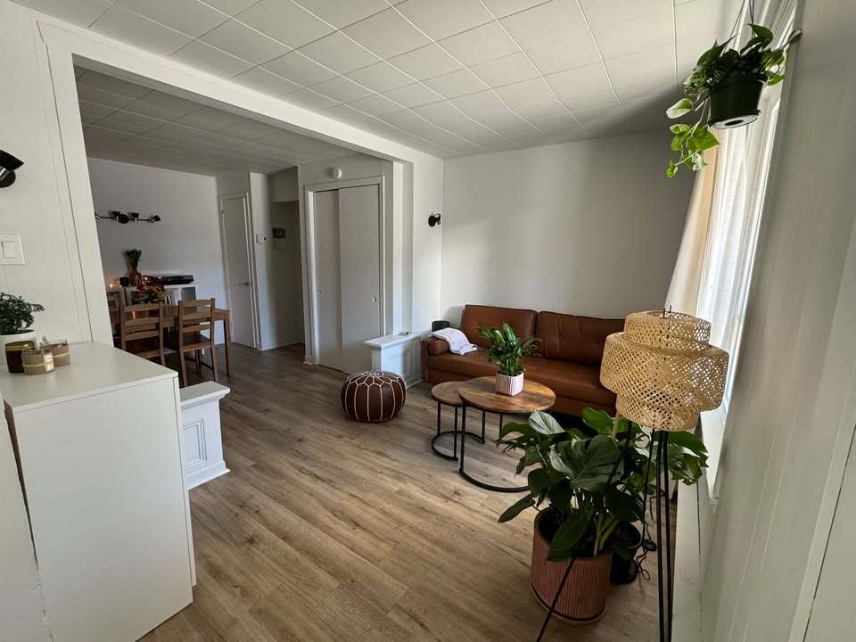 Logement 3 1/2 + Bureau Lévis | 3297104