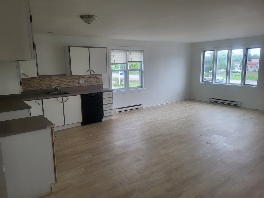 Grand 5 1/2 à Louer à Luskville | 3291330