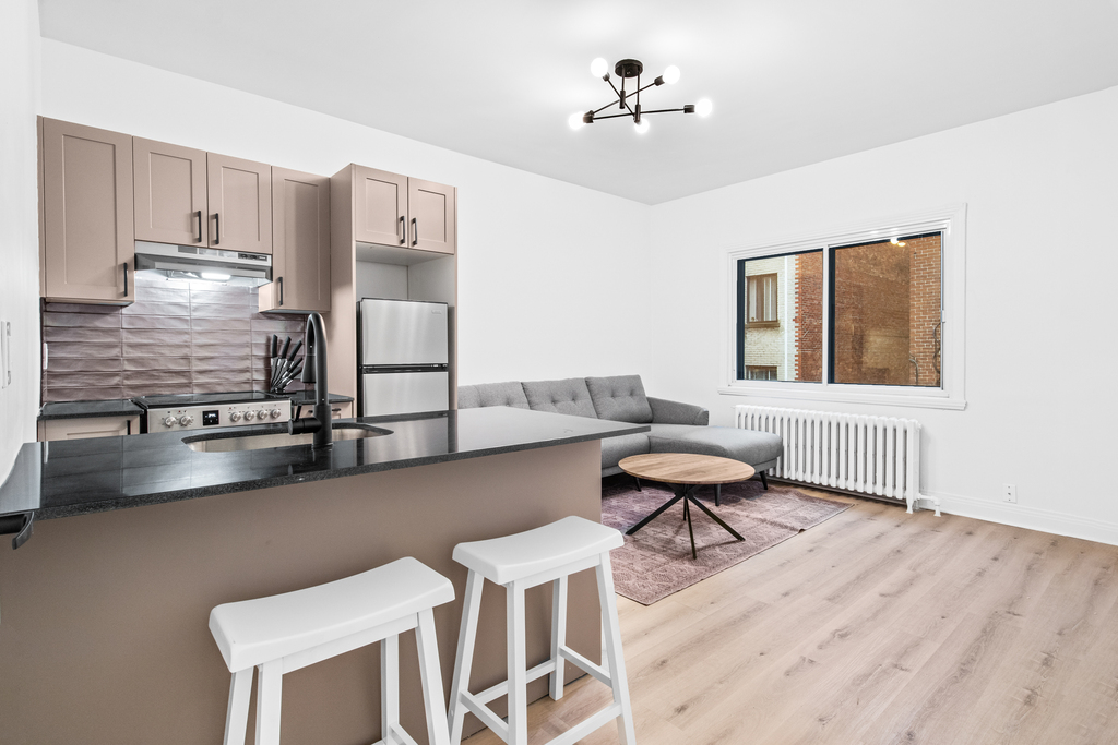 Grand Appartement 1 Chambre - Meublé | 3291338