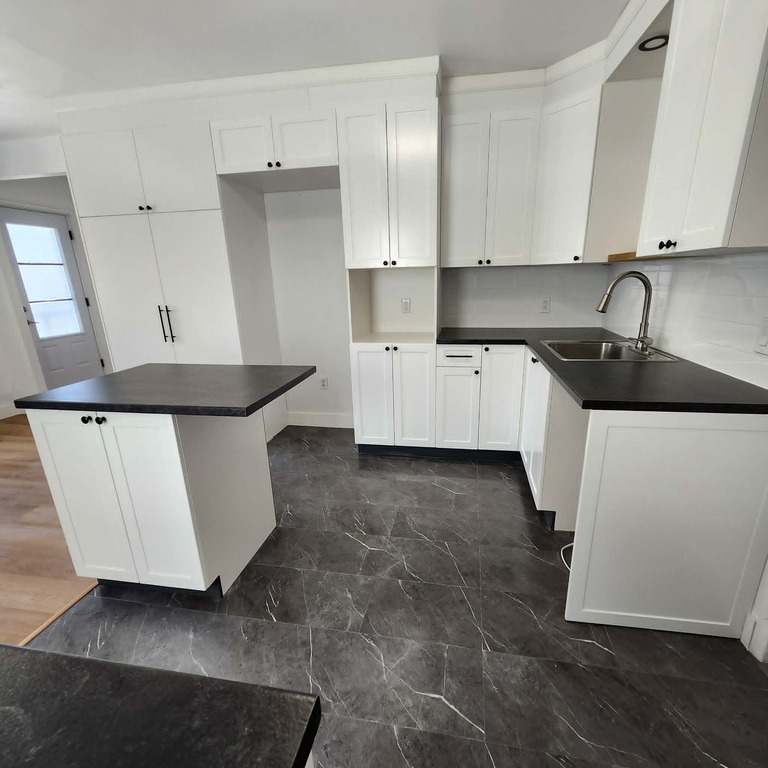 Grand 3 ½ Lumineux, Entièrement Rénové | 3291414