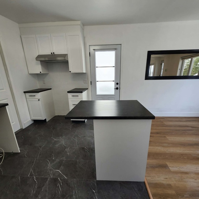 Grand 3 ½ Lumineux, Entièrement Rénové | 3291414