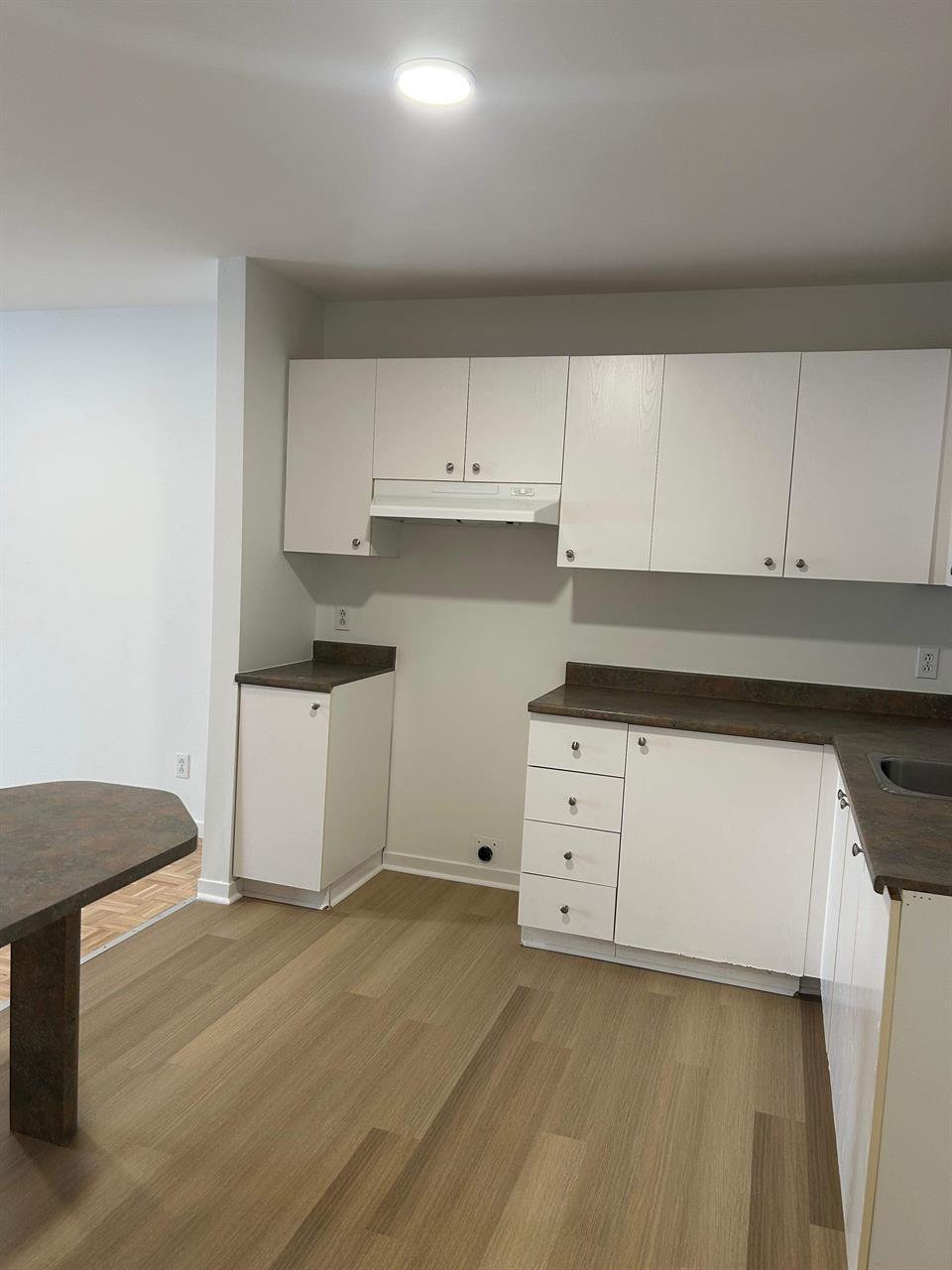 1 CH - 1 SDB - Saint-Charles-Borromée - $1,199 /mo | 3291418