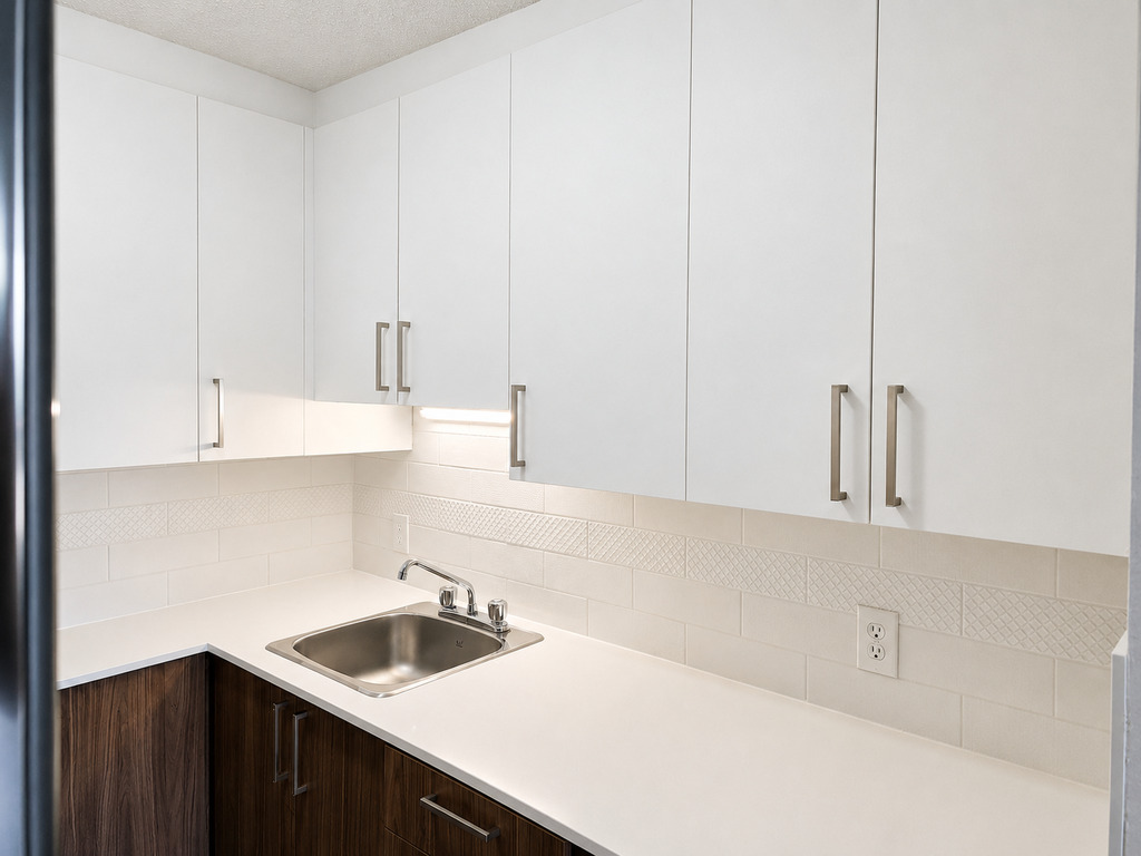 3 ½ Spacieux - 1 325 $/mois | 3291451