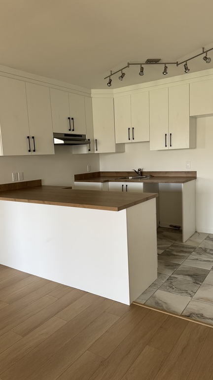 4 1/2, 100% RÉNOVÉ , Saint-Jerome | 3297982