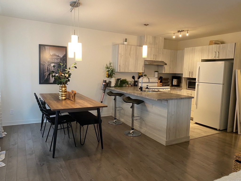 41/2 St-Canut Avec électros Et Wifi | 3291477