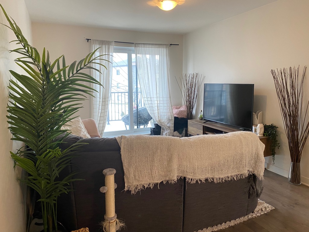 41/2 St-Canut Avec électros Et Wifi | 3291477