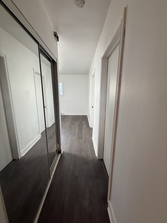 GRAND 2 CHAMBRES À LOUER | 3291575